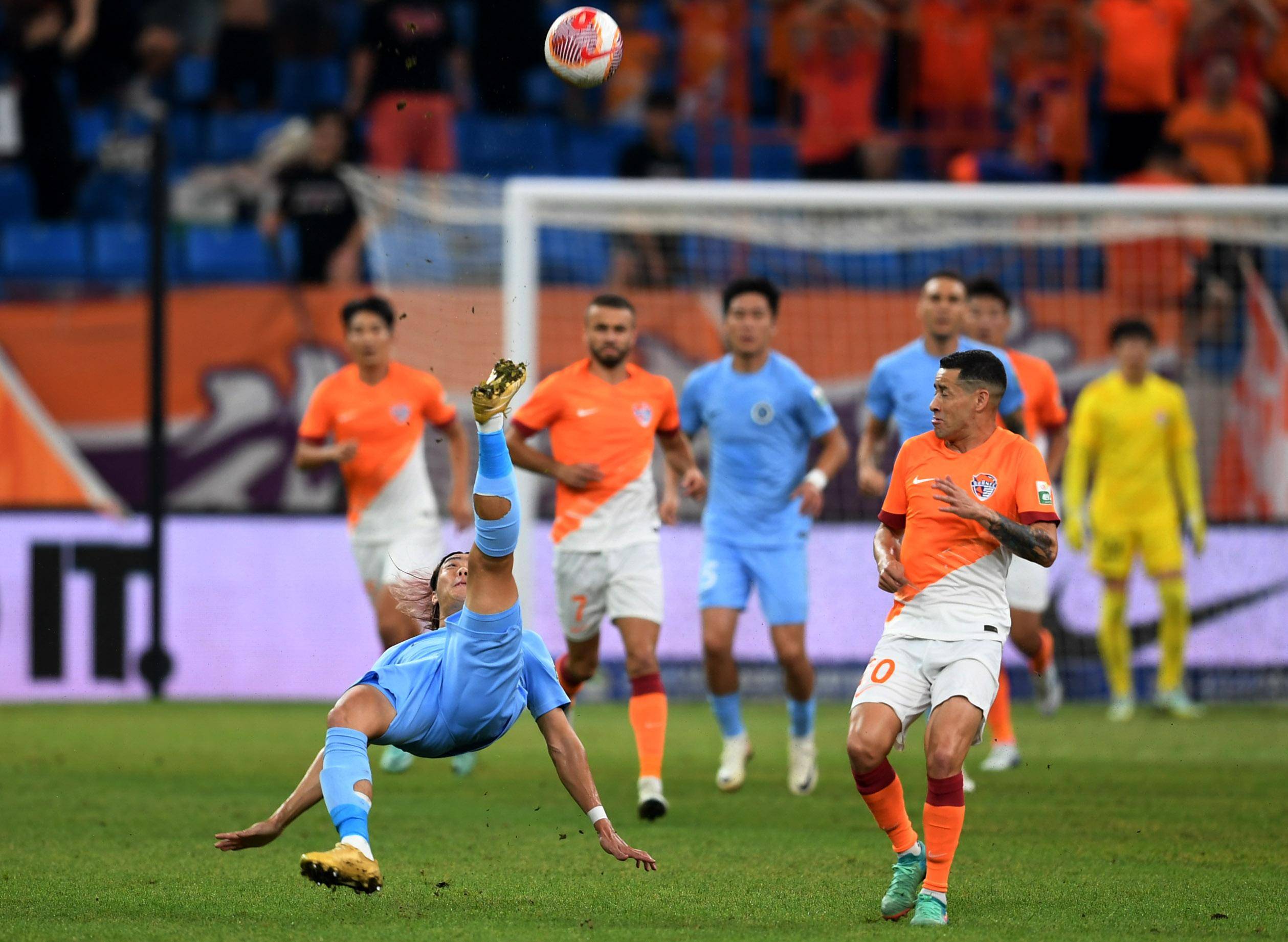 情感是真诚 情感是真诚